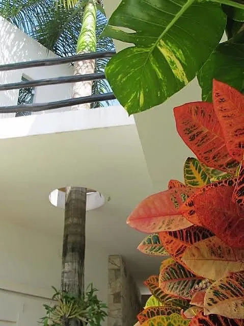 Casa Di Luca Apartamento Playa del Carmen 0*,  México